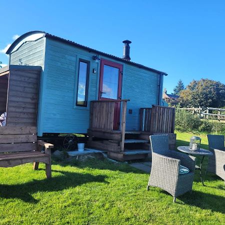 The Shepherds Hut At Forestview Farm Greenisland Εξωτερικό φωτογραφία
