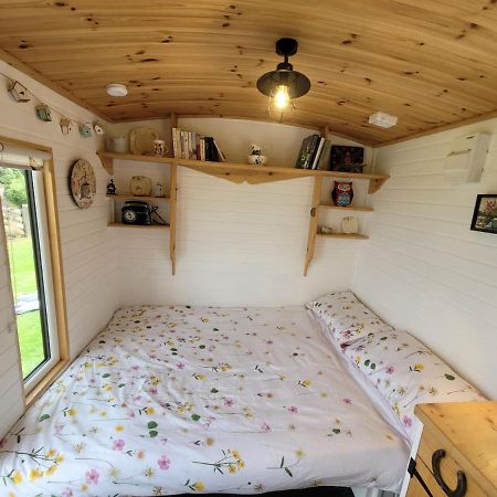 The Shepherds Hut At Forestview Farm Greenisland Εξωτερικό φωτογραφία