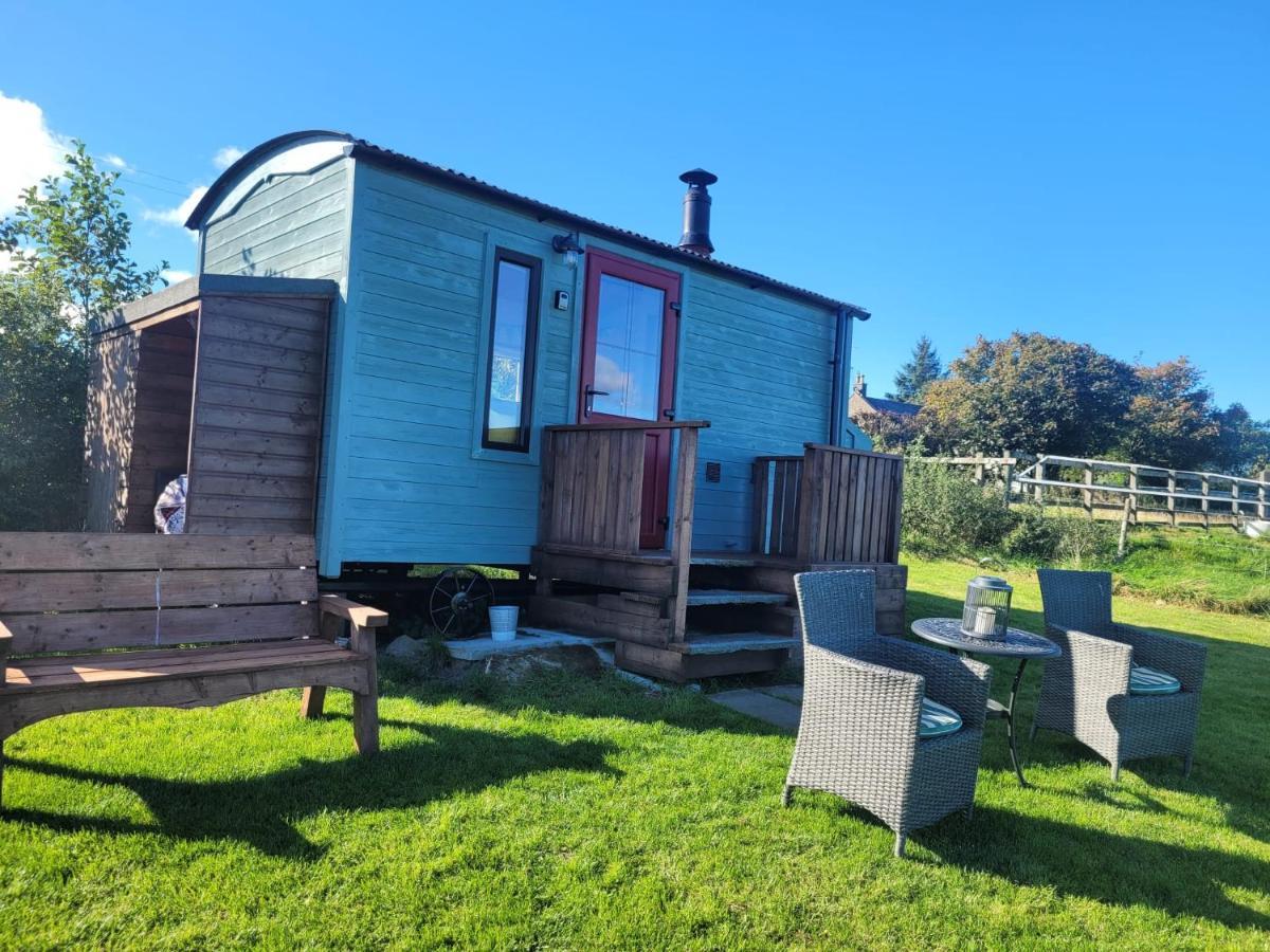 The Shepherds Hut At Forestview Farm Greenisland Εξωτερικό φωτογραφία